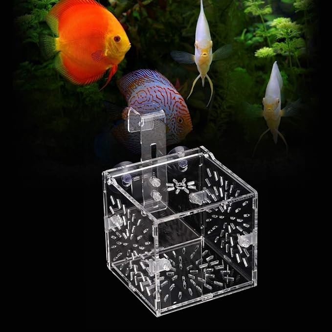 Rosvola Fish Isolation Box, Fish Breeding Incubator Aquarium Hatchery Fish Tank Isolation Box, Incubator Holder Transparent for Shrimp Aquarium(10Cm10Cm10Cm)