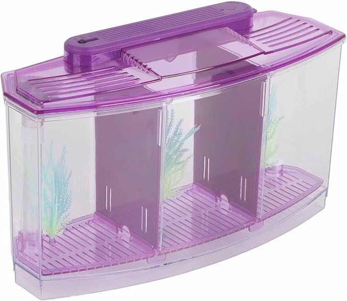 Fockety Breeding Fish Tank LED Acrylic, Three Divisions Isolation Box for Small Fishes with Artificial Grass, Water Change Valve and Filter Bubble Head with Activated Carbon (Violet)