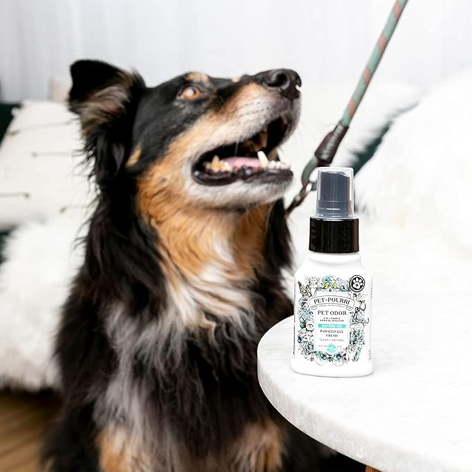 Pet-Pourri Pet Odor Air + Fabric Odor Freshener Spray, Pawsitively Fresh, Travel Size 1.4 Fl Oz