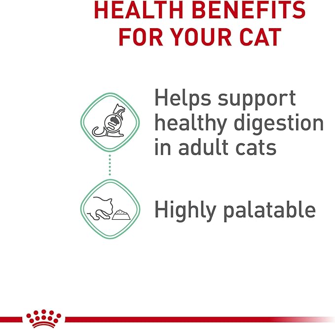 Royal Canin Feline Care Nutrition Digestive Care Adult Chunks in Gravy Cat Food, 3 oz (Pack of 12)
