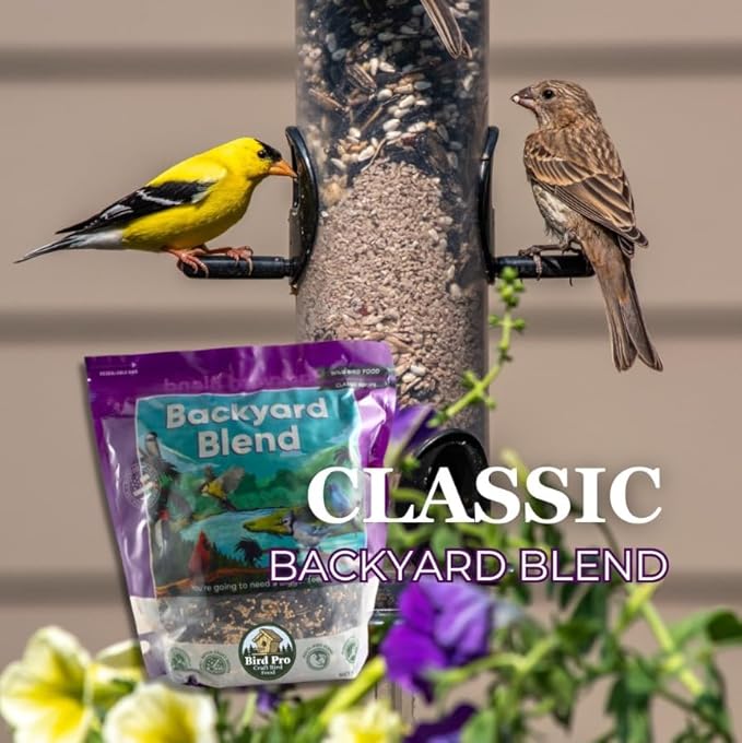 Classic Bird Seed (40 Pounds, Backyard Blend)