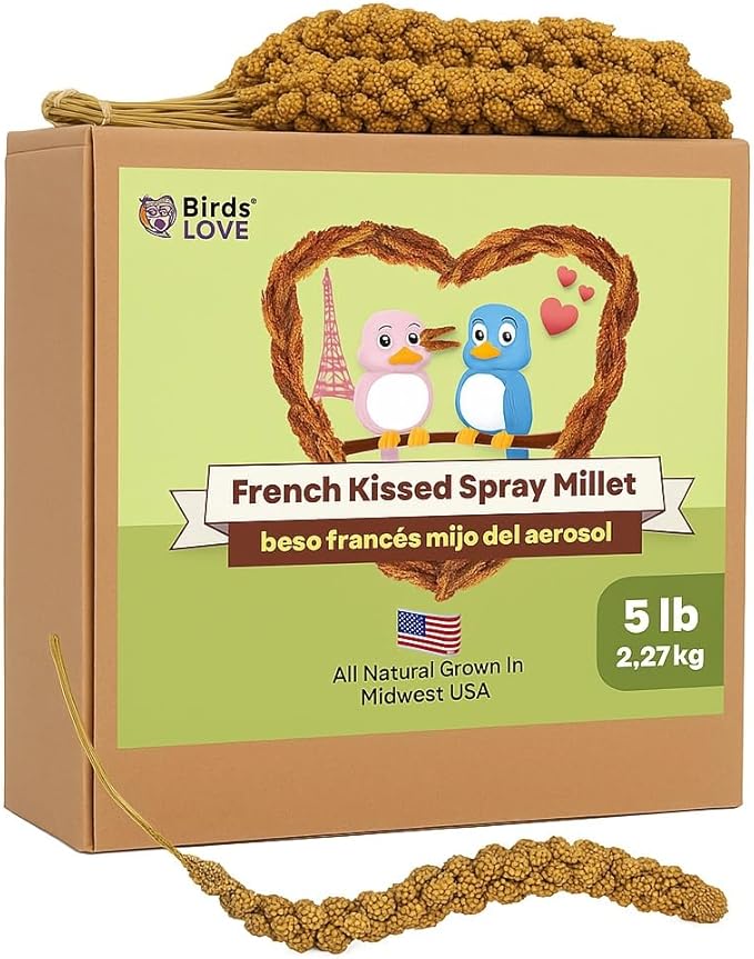 Birds LOVE 5lbs French Kissed Spray Millet for Birds – Harvested in France & Packed in The USA – 100% Natural & Sun‑Dried Millet Spray for Parakeets, Cockatiels, Conures, Parrots & Budgies