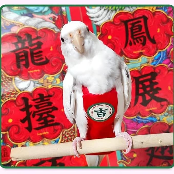 MANON ROSA Bird Diapers Leash Set Washable Reusable Handmade Flight Suit Waterproof Inner Layer - Protective Parrot Nappy Clothes Parakeets Macaws Budgies Canaries (Red7,Caique)