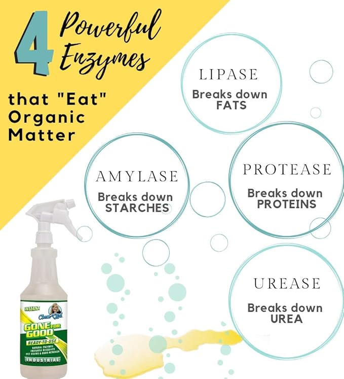 Gone For Good - Professional Enzymatic Stain & Odor Remover - Remove Pet Urine + Prevent Repeat Habits | Concentrated, All Natural, Pet Safe, Indoor/Outdoor, For Hard & Soft Surfaces - 1 Gallon