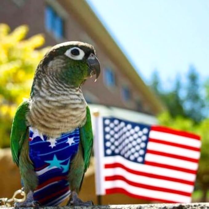 Avian Fashions FeatherWear FlightSuit Wide Plus(8) Bird Diaper in Fireworks