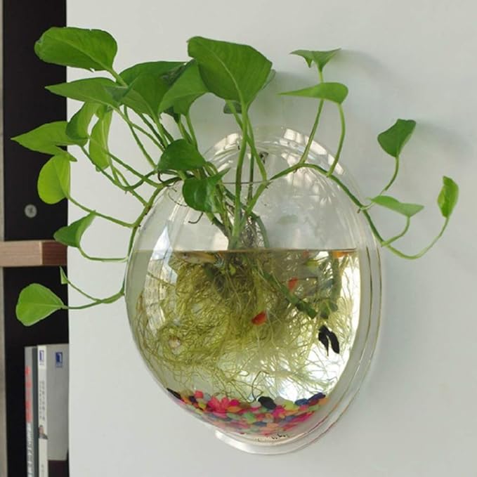 iplusmile Wall Mounted Planter 6.7 Inch, Clear Acrylic Hanging Bubble Vase for Plant Propagation Air Plants, Shatterproof Round Terrarium Bowl for Home Office Decor