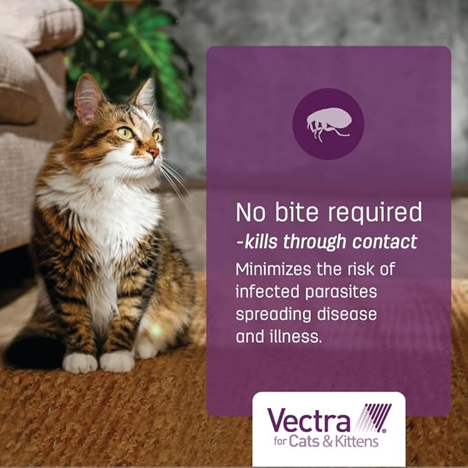 Vectra for Cats Flea Treatment & Prevention for Large Cats (Over 9 lbs.) 6-Month Supply