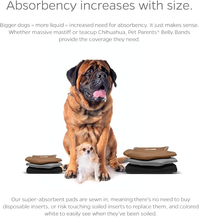 Pet Parents® Washable Belly Bands for Male Dogs (3pack) + Extendrs® of Durable Dog Diapers Male, Premium Male Dog Diapers & Dog Wraps (Large, Natural)
