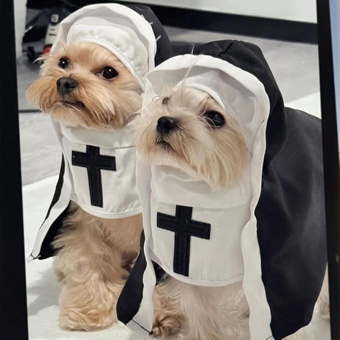 Cat Costume Nun Dress, Nun Dog Costume, Funny Halloween Cloak Outfit for Cat Small Medium Dogs, Cosplay Apparel for Photoshoots Parties Social Media, Adorable Pet Clothing (Black, Large)