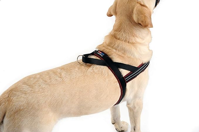 ComfortFlex Sport Dog Harness – No-Choke, Fully Padded, Non-Chafing Harness with Control Handle – Reflective, Lightweight, Adjustable for Active Dogs - XXSmall, Berry