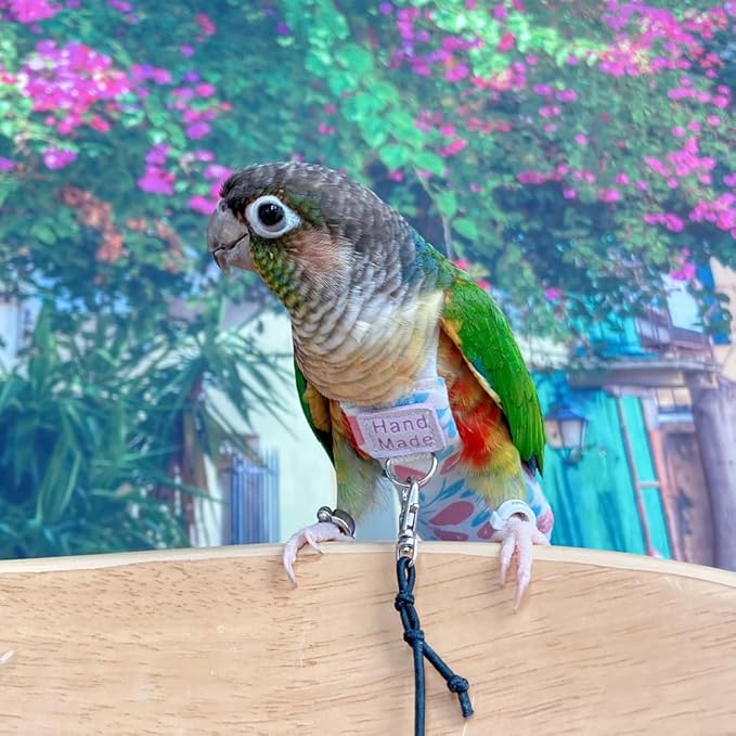 Bird Clothes Parrot Diapers Bird Flight Suits, Reusable Waterproof Diapers pet Bird Supplies (Without Rope, M)