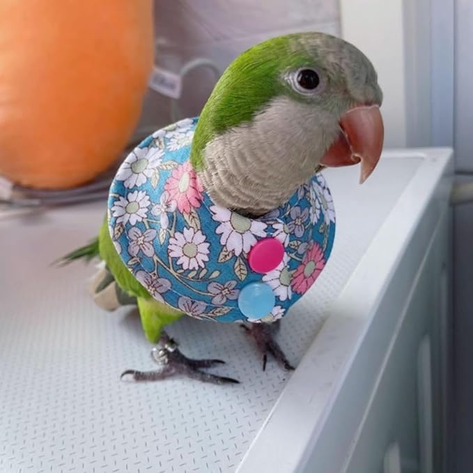 Bird Collar - Anti-Bite Elizabethan Recovery Cone Feather Plucking Protector Skin-Friendly Neckwear for Parakeets Conures Cockatiels Lovebirds Budgies Cockatoos African Grey Random Color (XS)