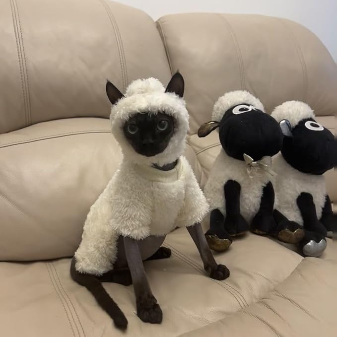 Warm Fleece Lined Winter Clothing for Sphynx & Devon Rex Cats | Soft Faux Lamb Wool | Cozy and Comfortable (Sheep Costume,XL About 4-4.5kg/8.8-9.9pounds)