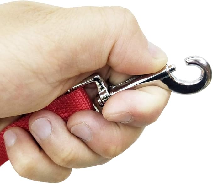Nylon Training Dog Leash for Small Medium Large Dogs, 15ft 20ft 30ft 50ft Long Leash Dog/Puppy Lead for Obedience Recall Training, Camping (30ft, Red)