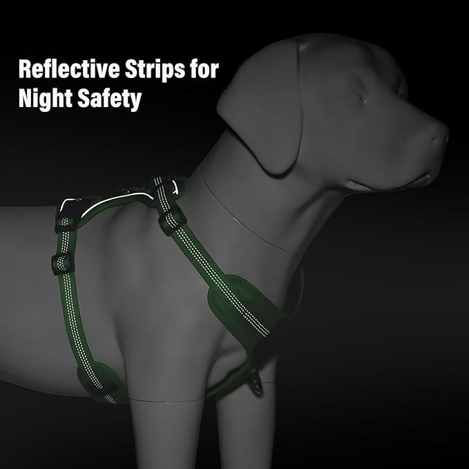 Plutus Pet No Pull Dog Harness, Release at Neck, Soft Padded, Reflective Adjustable Dog Vest Harness for Small, Medium, Large Dogs(Green, XS)