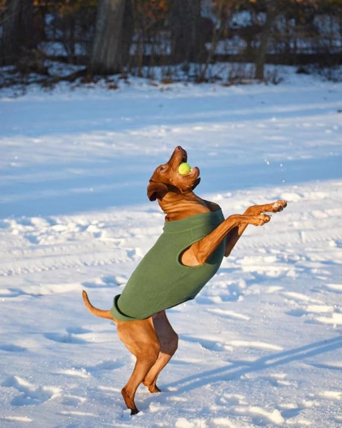 Gooby Stretch Fleece Vest Dog Sweater - Black, 6X-Large - Warm Pullover Super Stretchy Fleece Dog Jacket for Small to Large Dogs