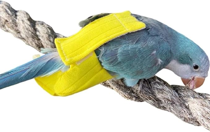 Parrot Bird Diapers, Birds Flight Suit, Parrot Clothes, Pet Animal Costumes, Bird Clothes, Cockatiel Bird Diaper, Pet Bird Diapers, Parrot Flight Suit, Bird Parrot Clothes (Yellow, 5XL)