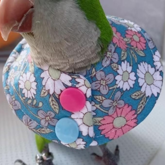 Bird Collar - Anti-Bite Elizabethan Recovery Cone Feather Plucking Protector Skin-Friendly Neckwear for Parakeets Conures Cockatiels Lovebirds Budgies Cockatoos African Grey Random Color (XS)