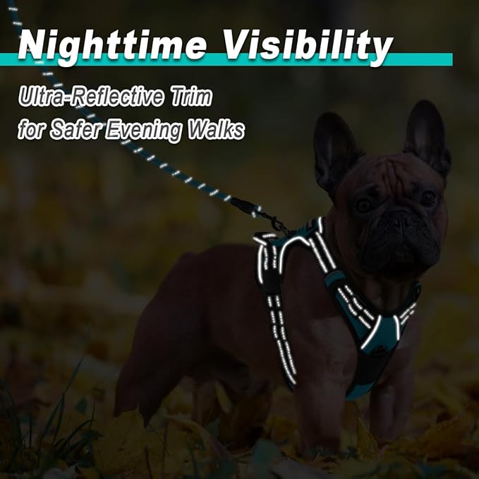 BARKBAY Dog Harness No Pull for Small Dogs - Adjustable, Reflective, Comfortable, No Choke, Heavy-Duty - Perfect for Outdoor Training, Walking, and Hiking - Strong & Durable - XS & Blue