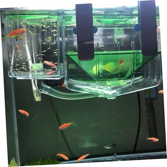 Self Guided Box Isolated Breeding Tank for Fish Hatching Box Transparent Aquarium Isolation Case for and Fish