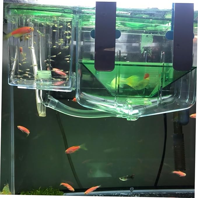 POPETPOP Self-Guided Fish Breeding Tank Isolation Box for Aquariums Protects Pregnant and Newborn Fish Improves Survival Rates for Betta and Shrimp Breeding