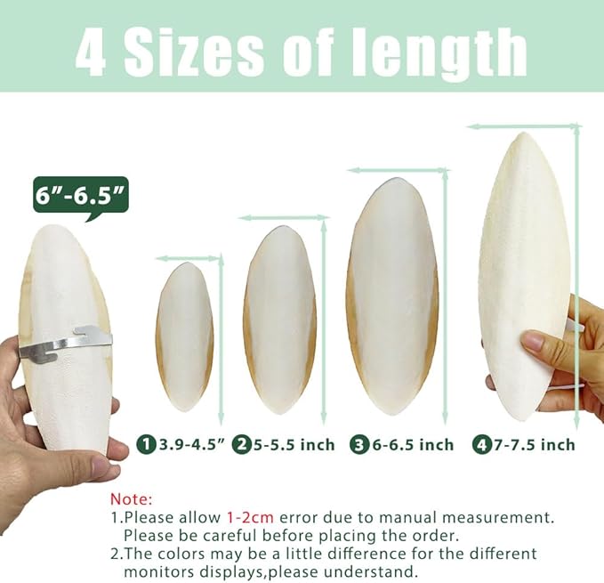 Cuttlebone for Birds Parakeets Canaries Cockatiels Small Conures Mynahs Toucans African Greys All Parrots Snails Totoise,Natural Cuttlefish Bone for Bird Cage (7"-7.5"(Pack of 6))