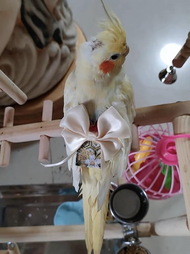 Bird Flight Suits Diapers, Parrot Diapers for Monk Parakeets, Cockatiels, Parrot Clothes Costume, Bird Training Nappy Suit Liners Clothes (Large,Light Pink)