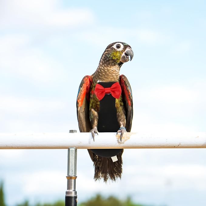 POPETPOP Flying Bird Diapers - Rubber Chew Stick & Cotton Suit for Cockatoo, Parrot & Other Flight Birds