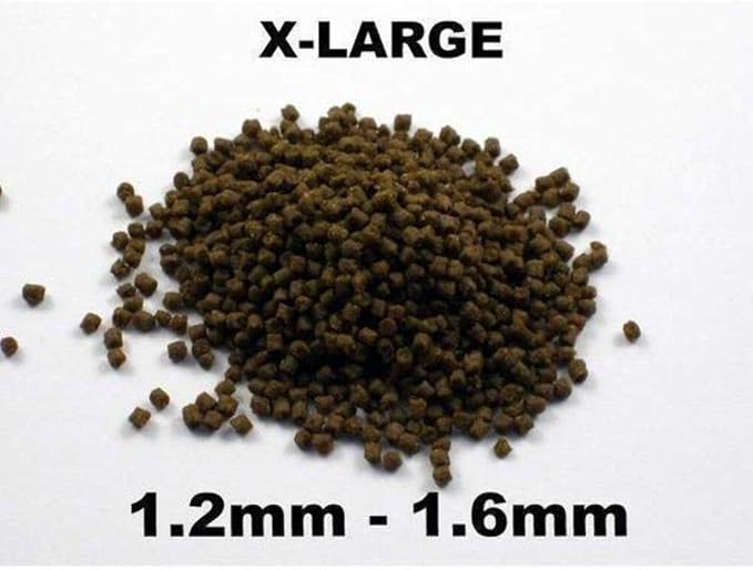 Bassleer Regular BioFish Food - Formulated for Optimal Fish Health (Lrg, 150g)