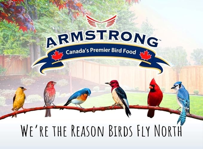 Armstrong Wild Bird Food Birder's Choice Bell, 12 Ounces - Premium High-Energy Treat for Year-Round Songbird Feeding - Easy-to-Hang Suet Alternative