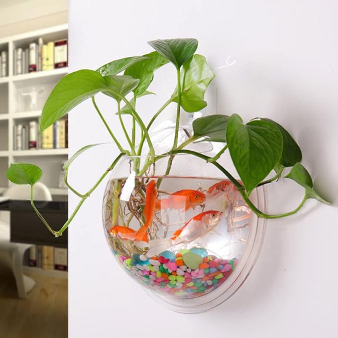 Wall Fish Tank, Betta Mini Garden Air Aquarium, Bubble Water Round Bowl Cups Semi- Farming Wall Goldfish Acrylic Decoration Hanging Transparent 3Pcs