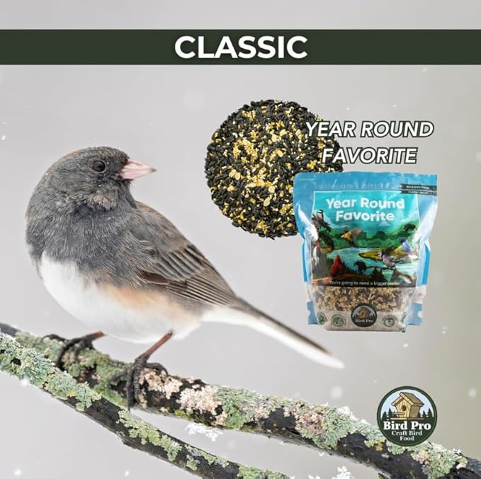 Classic Bird Seed (40 Pounds, Year Round Favorite)