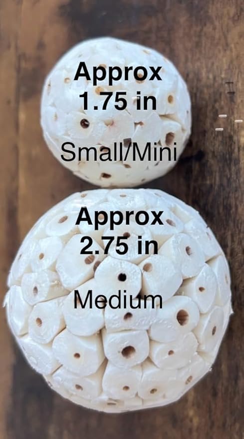 Triple Stack Natural Sola Ball and Loofah Slice Hanging Toy - Medium Birds - Set of Two (Medium)