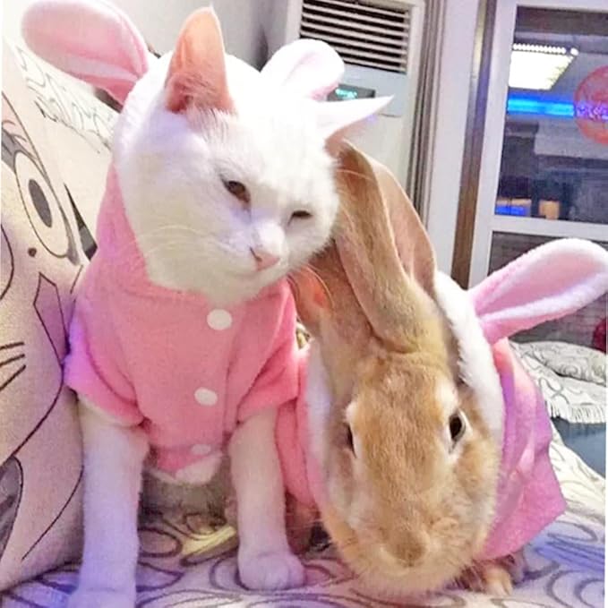 ANIAC Bunny Ears Cat Costume Plush Dog Hoodies with Pocket Sweater Cute Kitten Cat Clothes Warm Rabbit Ears Outfit with Hood for Small Dog Cat and Puppy (Pink-2, Small)