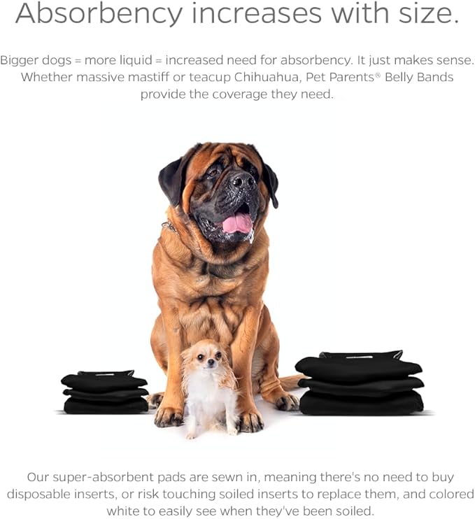 Pet Parents® Washable Belly Bands for Male Dogs (3pack) + Extendrs® of Durable Dog Diapers Male, Premium Male Dog Diapers & Dog Wraps (Small, Black)