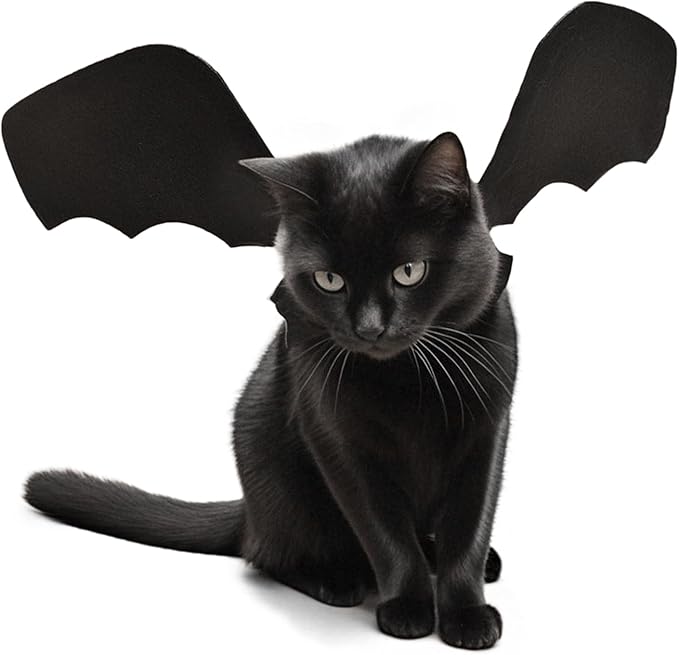 Batwing Cat Costume with Leash Hook - Soft Felt Kitten Costume, Adjustable Cat Puppy Clothes for Cosplay Party Walks (M)