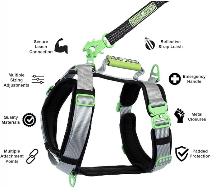 Ultimate Urban Premium Dog Harness - No Choke/Pull/Escape Dog Harness with Adjustable Padding, Heavy Duty, Easy On/Off, High Strength Buckles, Emergency Handle and 3 Connect Points (Silver, M)