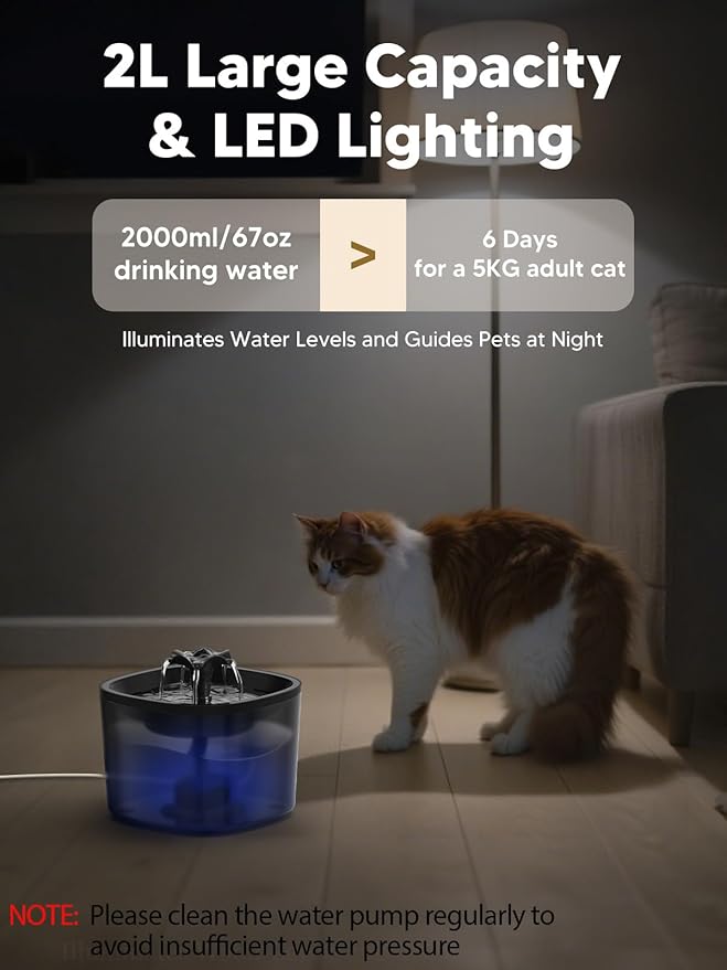 Automatic Cat Feeder and Water Fountain, 4L/16Cups Pet Dry Food Dispenser 2L Water Dispenser, Locking Lid, Programmable Timer 6 Daily Meals, 10s Voice Recorder, Cat Accessories for Puppy Kitten