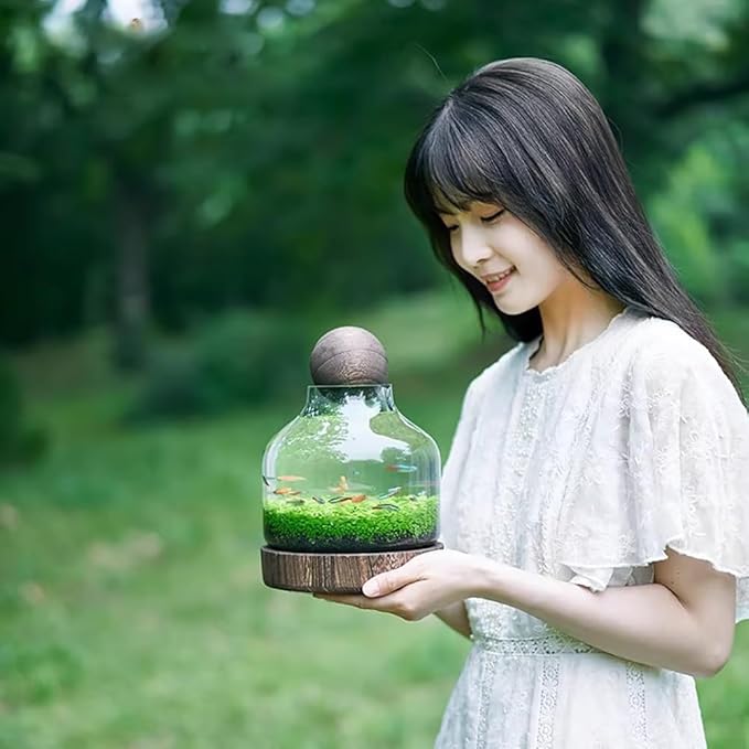 Glass Aquarium, Miniature Landscape Terrarium Glass Fish Tank with Wooden Base, Modern Betta Fish Tank, Small Aquarium for Home and Office Decoration,L
