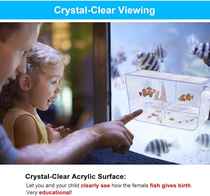 Fish Breeding Box Aquarium Holding Tank Transparent Fish Isolation Box Acclimation Hatchery Incubator Breeder for Betta Shrimp Clownfish Guppy Large