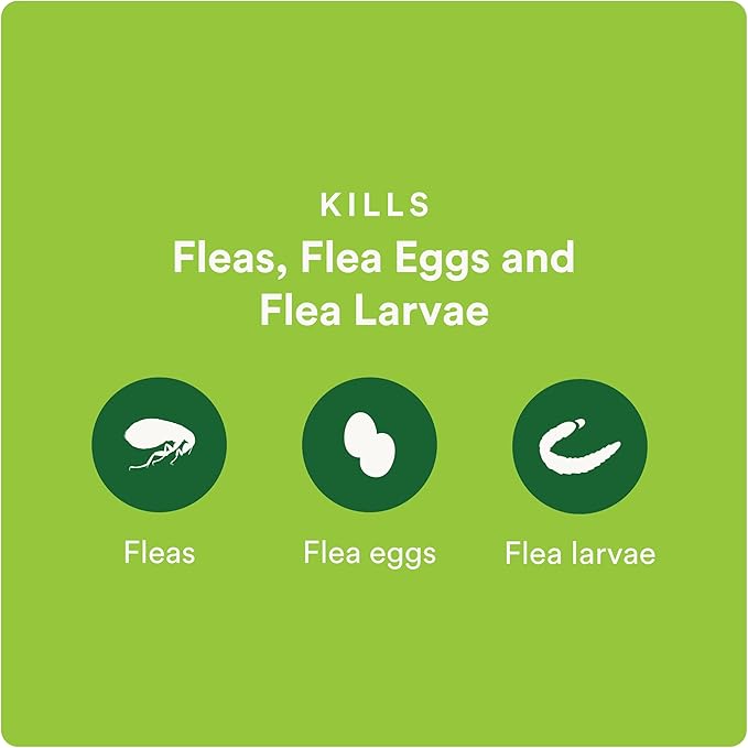 Advecta Plus Topical Large Cat Flea Treatment for Cats and Kittens, Flea Prevention and Control, Fast-Acting Waterproof Drops, 6-Month Supply