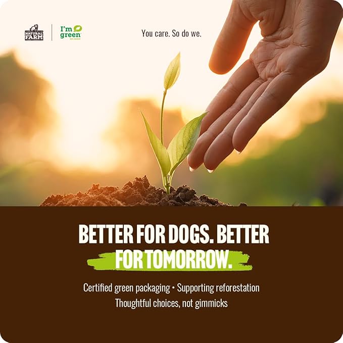 Natural Farm Bully Sticks, Odor-Free, (6 Inch, 12 Ounces), Packaged by Weight, 100% Beef Pizzle Chews, Grass-Fed, Fully Digestible Treats to Keep Your Puppies, Small and Medium Dogs Busy