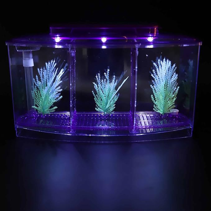 Aquarium Fish Led Light Kid Friendly Small Fish Three Divisions Breeding Isolation Mini Aquarium komplettset LED Acrylic Box Betta for Small Fishes()