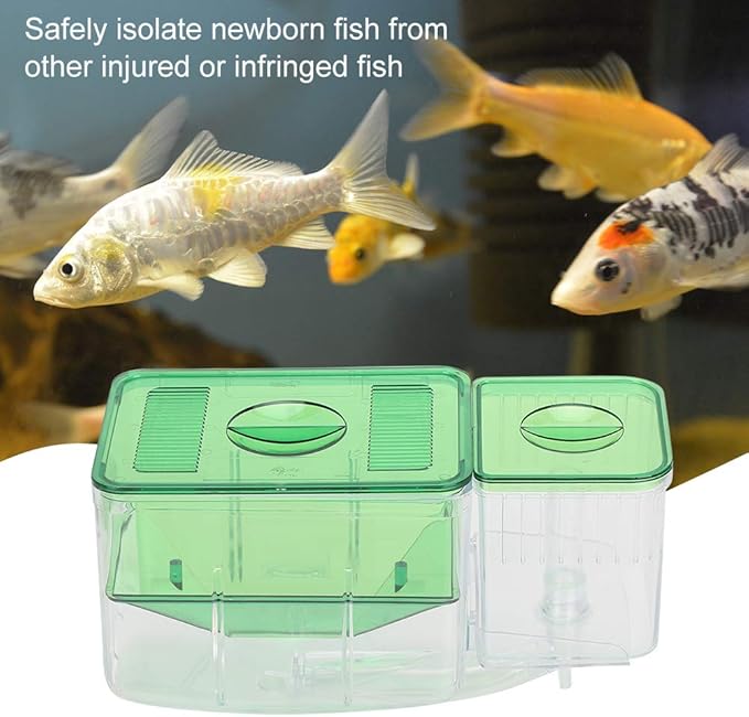 Fish Breeding Box, Transparent Aquarium Little Fish Breeding Hatching Box, Fish Tanks Double Layer Isolation Box Hatchery Incubator for Injured Small Fish Shrimp