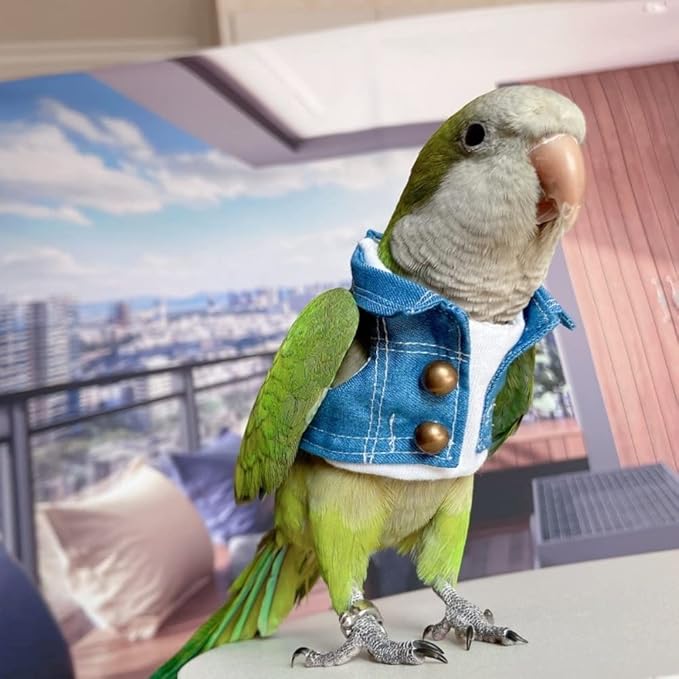 Bird Costume Bird Diaper Flight Suit Bird Jeans Fake Two Pieces Bird Clothes Cosplay Photo Prop for Parrots Lovebird Parakeet Cockatiel Small Animals Apparel (with Diaper,Alexandrine)