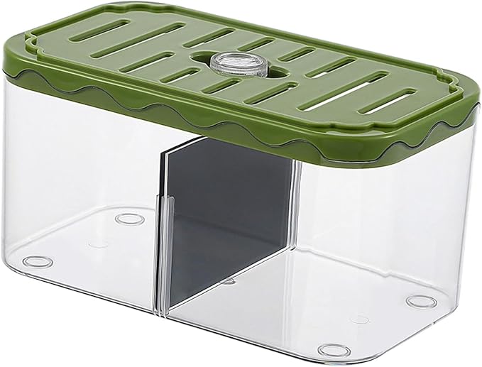 Small Fish Tank Aquarium Breeding Box Table Centerpieces Box Acclimation Hatchery for Fishes, Green