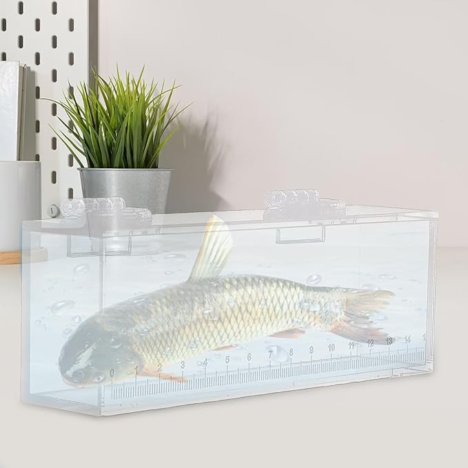 Fish Watching Box Fishing Photo Tank Hatchery Incubator Acrylic Portable Storage Box Fish Egg Breeding Case Isolation Breeder Box Photo Box, L
