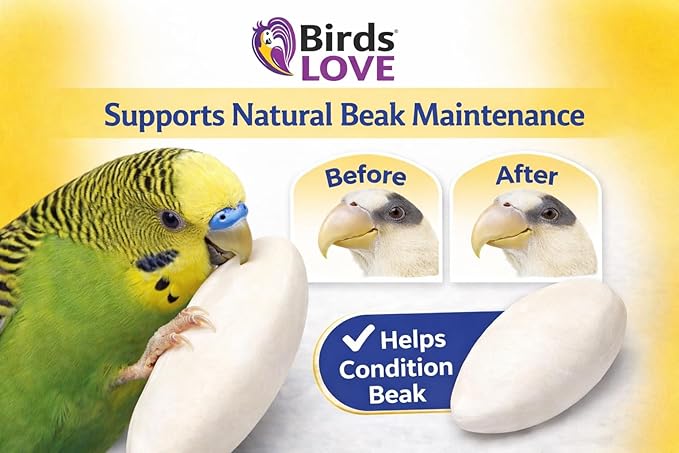 Birds LOVE 3.5-4″ Cuttlebones for Birds – 100% Natural Sun-Dried Calcium Carbonate Mineral Supplement – for Parakeets, Budgies, Cockatiels, Finches & Canaries – 12 Pack with Holder – Made in Vietnam