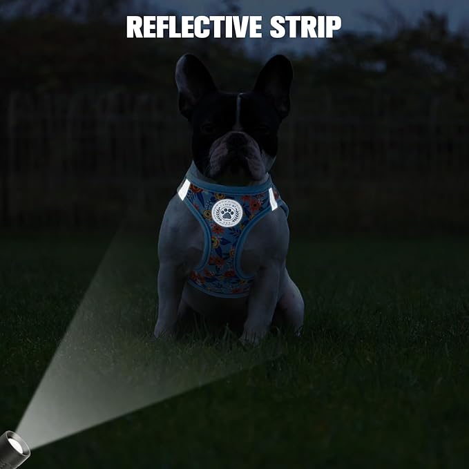 BEAUTYZOO Step in Dog Harness and Leash Set,Floral Pattern Reflective Dog Harness No Pull No Choke Puppy Harness for Small Medium Large Dogs Cats,Soft Padded Mesh Vest Harnesses for Girl and Boy Pets