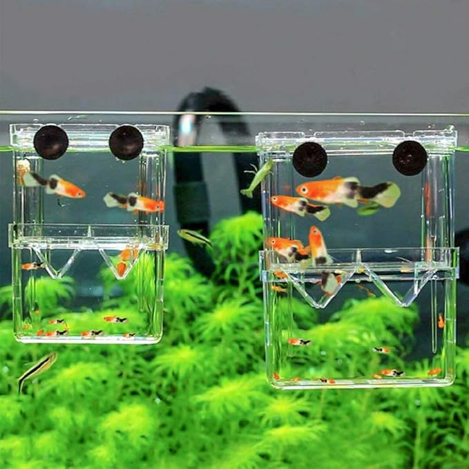 Senzeal Aquarium Fish Breeder Box Plastic Fish Isolation Breeding Box Hatching Incubator Box for Baby Fishes Shrimp Clownfish Guppy